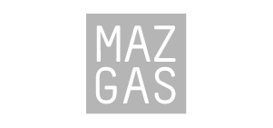 https://partus.lt/wp-content/uploads/2025/08/MAZGAS.png